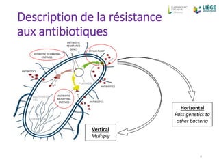 Perspectives antibioresistance final