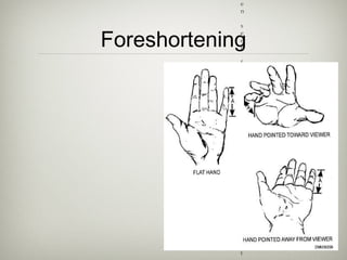 Foreshortening
Occurs when an object
appears compressed
when seen from a
particular viewpoint,
and the effect of
perspective causes
distortion.
 