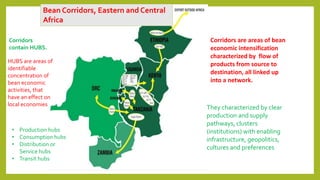Perspectives on Integrated Crop Management (ICM) and Common bean breeding