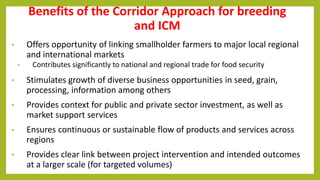 Perspectives on Integrated Crop Management (ICM) and Common bean breeding