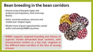 Perspectives on Integrated Crop Management (ICM) and Common bean breeding