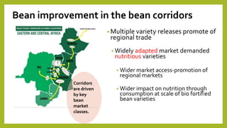 Perspectives on Integrated Crop Management (ICM) and Common bean breeding