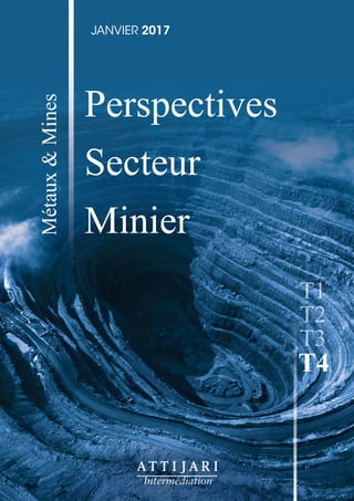 Perspectives
Secteur
Minier
Métaux&Mines
T1
T2
T3
T4
J A NV IER 2017
 
