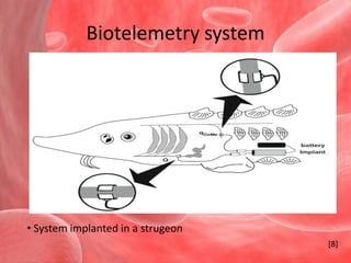 Blood flow in fingertip using heat transfer analysisFirst step ambient temperature measured (25s)Second step finger placed on the sensor initial temperature of skin surface measured (35s)Third step measure the thermal release characteristics for correction in second step (15s)Blood flow coefficient is calculated by using the temperature gradient in step 2[7]