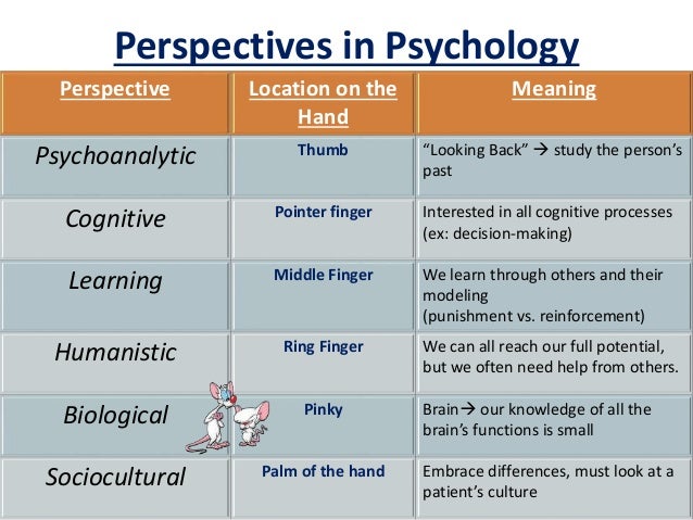 what is not a main theoretical perspective in psychology