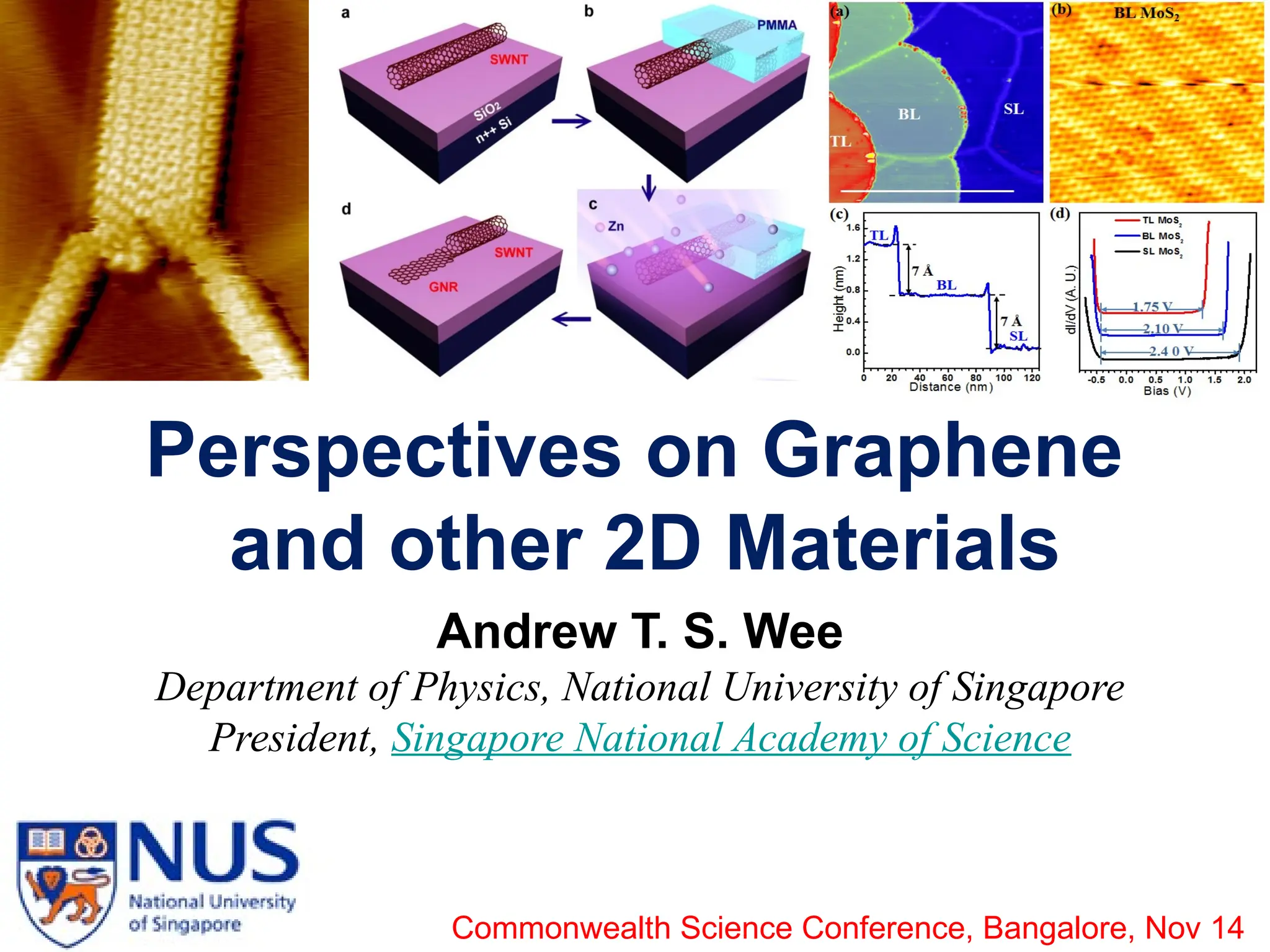 Perspectives on Graphene & other 2D Materials.pptx