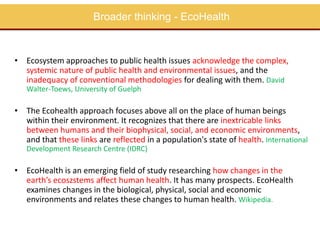 Perspectives on One Health/EcoHealth