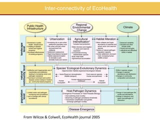 Perspectives on One Health/EcoHealth