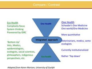 Perspectives on One Health/EcoHealth