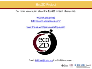 Perspectives on One Health/EcoHealth