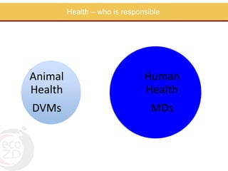 Perspectives on One Health/EcoHealth