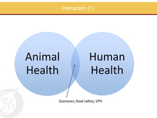 Perspectives on One Health/EcoHealth