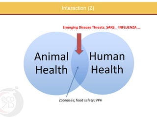 Perspectives on One Health/EcoHealth