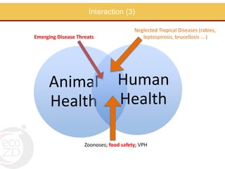 Perspectives on One Health/EcoHealth