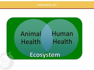 Perspectives on One Health/EcoHealth