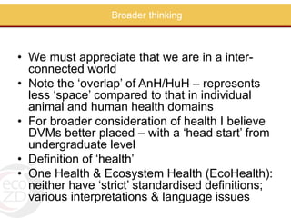 Perspectives on One Health/EcoHealth