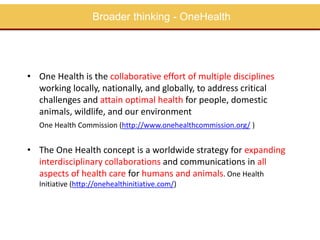 Perspectives on One Health/EcoHealth