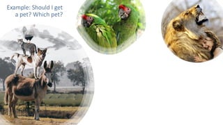 Example: Should I get
a pet? Which pet?
 