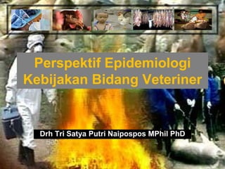 Perspektif Epidemiologi
Kebijakan Bidang Veteriner
Drh Tri Satya Putri Naipospos MPhil PhD
 