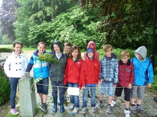 Educatief project 'De Boom In'