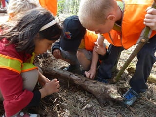 Educatief project 'De Boom In'