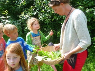 Educatief project 'De Boom In'