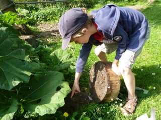 Educatief project 'De Boom In'