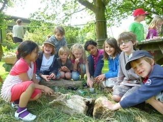 Educatief project 'De Boom In'