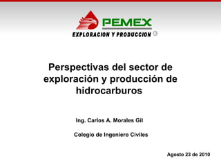 R




 Perspectivas del sector de
exploración y producción de
      hidrocarburos

      Ing. Carlos A. Morales Gil

      Colegio de Ingeniero Civiles


                                         Agosto 23 de 2010
 