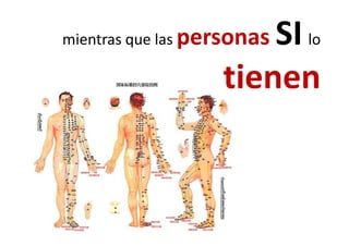 mientras que las personas SI lomientras que las personas SI lo
titienen
 