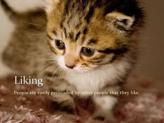 People are easily persuaded by other people that they like.

 
