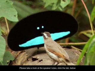 EMERCE #CONVERSION . @PIETERJ Please take a look at the speaker notes, click the tab, below 