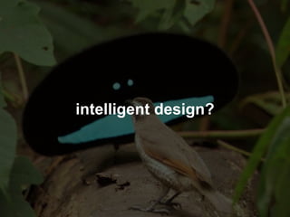 intelligent design? 