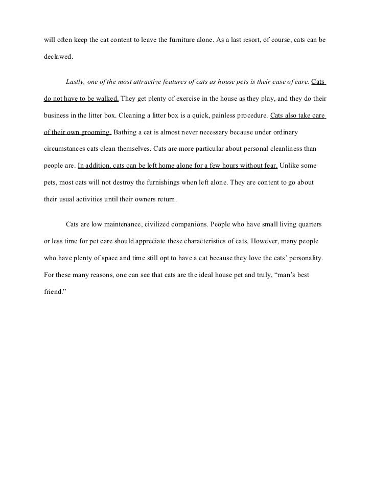 High School Essays Samples Obesity Persuasive Essay Get Help From Custom College Essay Business Etiquette Essay also Examples Of High School Essays Pressure Washing Power Washing For Birmingham Alabama Persuasive Healthy Lifestyle Essay