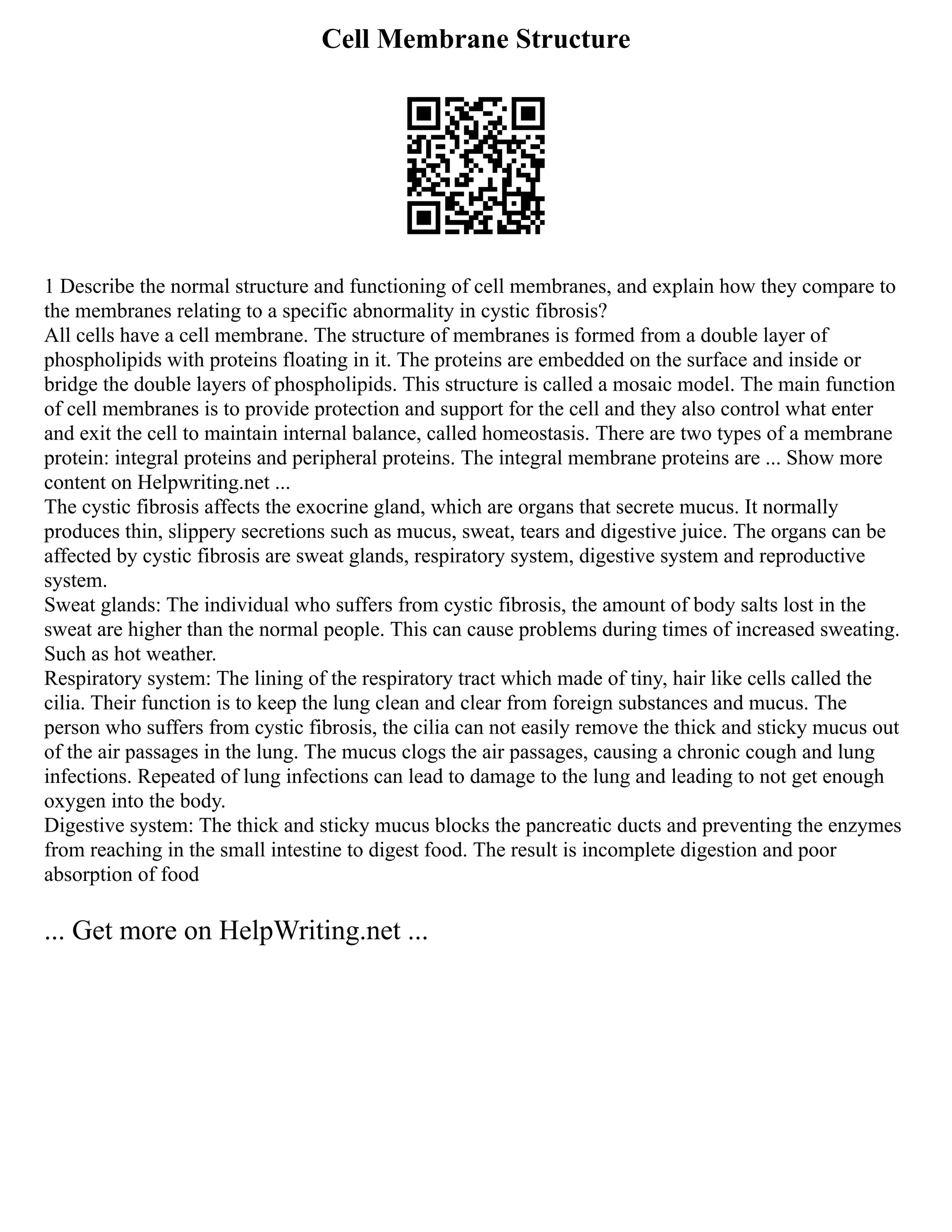 Persuasive Outline Template PDF