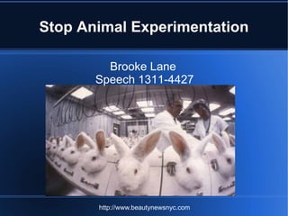 Stop Animal Experimentation Brooke Lane  Speech 1311-4427 http://www.beautynewsnyc.com 