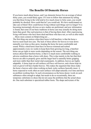 The Benefits Of Domestic Horses
If you know much about horses, and I say domestic horses live an average of about
thirty years, you would likely agree. If I were to follow that statement by telling
you that those living in the wild tend to live much closer to forty years, you would
probably be shocked. How could that be? you would ask. We have medicineand we
take care of them! How could horses living without such things survive longer? It is
becoming increasingly obvious as new studies are performed, and new information
is found, that some of our basic traditions in horse care may actually be doing more
harm than good. One such practices is that of having them shod. After experiencing
living with horses who have been shod and those who have not, as well as after much
... Show more content on Helpwriting.net ...
The first thing one notices when their horse is left barefoot, is that the horse s
hooves need much less care. The lack of shoes allows for hooves to wear down
naturally over time as they grow, keeping the horse far more comfortable and
sound. While a shod horse must have its hooves trimmed and reshod
approximately every six weeks to keep them from growing too long, a barefoot
horse can go eight or more weeks depending on the season. The next thing one
notices about their barefoot horse, is that it is much more comfortable walking in
adverse conditions than a horse with shoes. This is due mainly to the fact that their
hooves are able to properly grow and the larger hoof is naturally better gripping
and more stable than their metal clad counterparts. In addition, hooves are highly
adaptable. A horse kept on soft surfaces will have soft hooves, and a horse kept on
rock or gravel will have harder hooves. This makes the argument that shoes make
the horse s hooves safer when working on hard, rocky surfaces basically moot. A
horse expected to work often on such surfaces will adapt naturally over time and have
no problem working there. In such circumstances as the horse doesn t work on such
substances often enough to adapt, but needs to do so occasionally, there are
temporary substitutes to shoes that do not cause the problems that the actual shoes
do. One such substitute is specialized rubber boots. The shape and texture of the
 