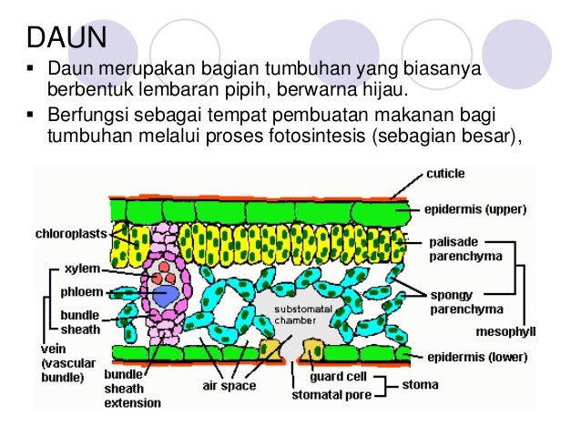 Contoh Laporan Praktikum - Contoh Soal2