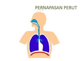 PERNAPASAN PERUT
 