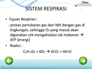 SISTEM RESPIRASI
• Tujuan Respirasi :
- proses pertukaran gas dari MH dengan gas di
lingkungan, sehingga O2 yang masuk akan
digunakan utk mengoksidasi zat makanan 
ATP (energi)
• Reaksi :
C6H12O6 + 6O2  6CO2 + 6H2O
 