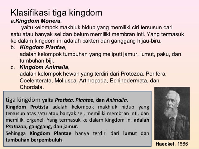 Pert 6 keanekaragaman dan klasifikasi