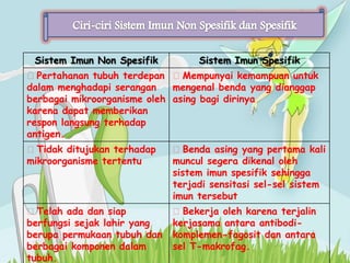 Sistem Imun Non Spesifik

Sistem Imun Spesifik

፨Pertahanan tubuh terdepan ፨Mempunyai kemampuan untuk
dalam menghadapi serangan
mengenal benda yang dianggap
berbagai mikroorganisme oleh asing bagi dirinya
karena dapat memberikan
respon langsung terhadap
antigen.

፨Tidak ditujukan terhadap
mikroorganisme tertentu

፨Benda asing yang pertama kali
muncul segera dikenal oleh
sistem imun spesifik sehingga
terjadi sensitasi sel-sel sistem
imun tersebut

፨Telah ada dan siap
berfungsi sejak lahir yang
berupa permukaan tubuh dan
berbagai komponen dalam
tubuh.

፨Bekerja oleh karena terjalin
kerjasama antara antibodikomplemen-fagosit dan antara
sel T-makrofag.

 