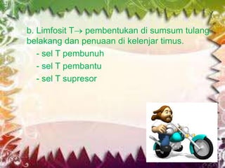 b. Limfosit T pembentukan di sumsum tulang
belakang dan penuaan di kelenjar timus.
- sel T pembunuh
- sel T pembantu
- sel T supresor

 