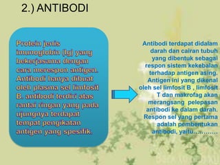 2.) ANTIBODI
Antibodi terdapat didalam
darah dan cairan tubuh
yang dibentuk sebagai
respon sistem kekebalan
terhadap antigen asing.
Antigen ini yang dikenal
oleh sel limfosit B , limfosit
T dan makrofag akan
merangsang pelepasan
antibodi ke dalam darah.
Respon sel yang pertama
adalah pembentukan
antibodi, yaitu…………

 