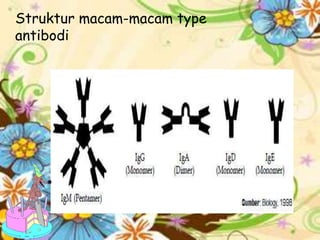 Struktur macam-macam type
antibodi

 