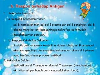 1.

Kekebalan Humoral
a. Respons Kekebalan Primer
sel B membelah menjadi sel B plasma dan sel B pengingat. Sel B
plasma mengikat antigen sehingga makrofag lebih mudah
menghancurkan patogen.
b. Respons Kekebalan Sekunder
Apabila antigen masuk kembali ke dalam tubuh, sel B pengingat
akan mengenalinya dan menstimulasi pembentukan sel B plasma
yang berfungsi memproduksi antibodi.

2. Kekebalan Seluler
melibatkan sel T pembunuh dan sel T supresor (menghambat
aktivitas sel pembunuh dan memproduksi antibodi).

 
