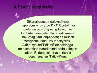 b. Reaksi alergi lambat

Dikenal dengan delayed type
hypersensivitas atau DHT. Contohnya
pada kasus orang yang keacunan
tumbuhan menjalar. Itu terjadi karena
makrofag tidak dapat dengan mudah
menghancurkan unsur penyerbu .
Akibatnya sel T diaktifkan sehingga
menyebabkan peradangan pada jaringan
tubuh. Radang ini terus berlanjut
sepanjang sel T diaktifkan.

 