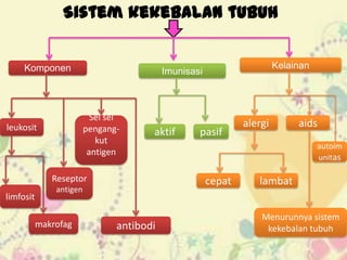Sistem kekebalan tubuh
Komponen

Sel sel
pengangkut
antigen

leukosit

aktif

Reseptor
limfosit

pasif

antibodi

alergi

aids
autoim
unitas

cepat

antigen

makrofag

Kelainan

Imunisasi

lambat
Menurunnya sistem
kekebalan tubuh

 