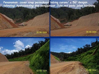 Penanaman  cover crop permukaan tebing curam/  ±  56 0  dengan teknologi  hydroseeding  dan penggunaan  Jute net  pada jalan tambang 