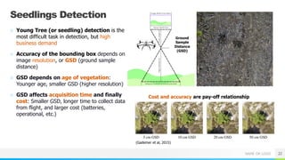 Computer Vision in Remote Sensing Applications | PDF